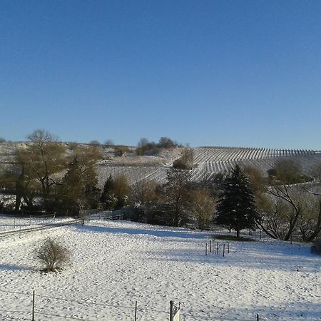 Апартаменты Weingut Hans Bausch Хаттенхайм Экстерьер фото