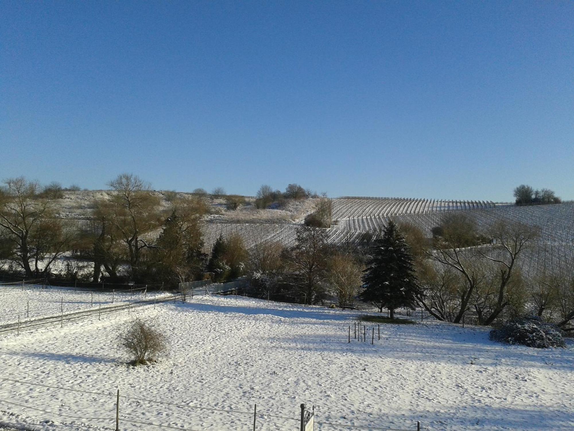 Апартаменты Weingut Hans Bausch Хаттенхайм Экстерьер фото